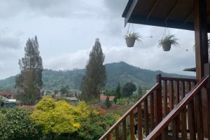 WhatsApp Image 2025-02-12 at 09.05.24 (6)